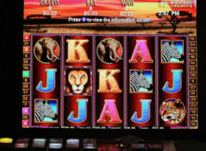 Bwin体育电脑免费版