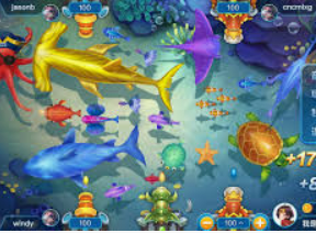 Bwin体育2024最新版