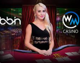 Bwin体育2024最新版